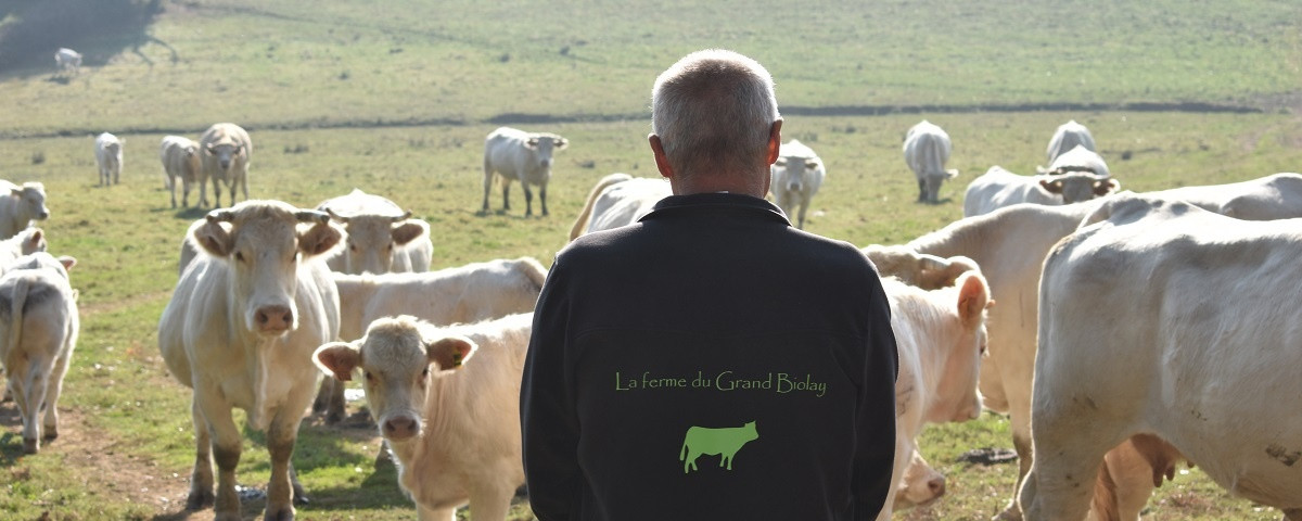 La Ferme du Grand Biolay à Romenay Image 1
