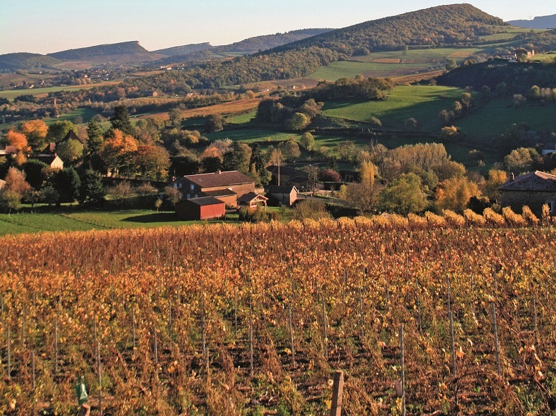 Domaine La Pascerette des Vignes à Sologny Image 2