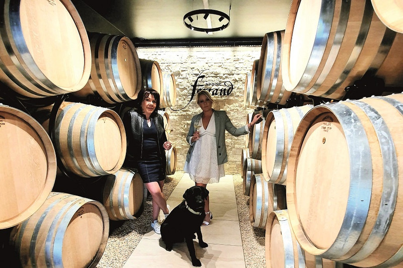 Domaine Nadine Ferrand à Charnay-lès-Mâcon Image 2