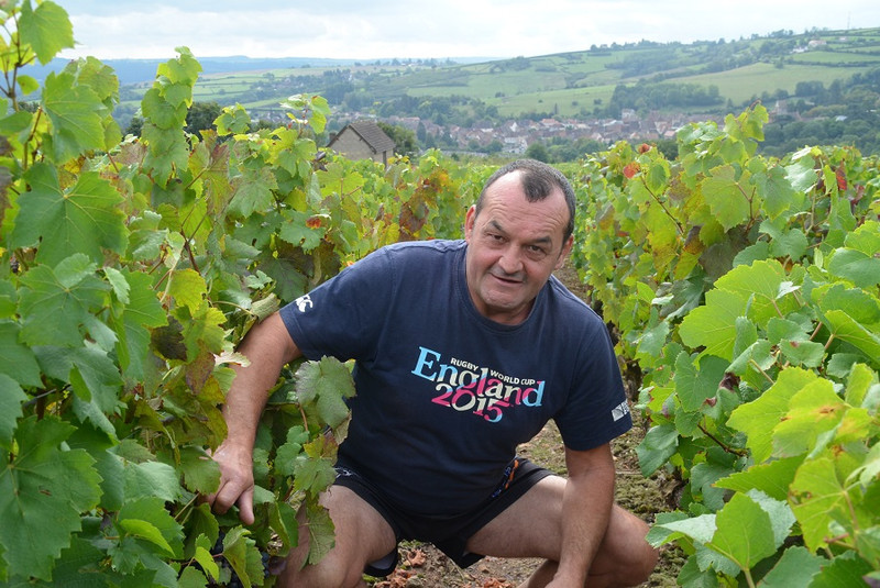 Domaine Lebeault à Dracy-Lès-Couches Image 5