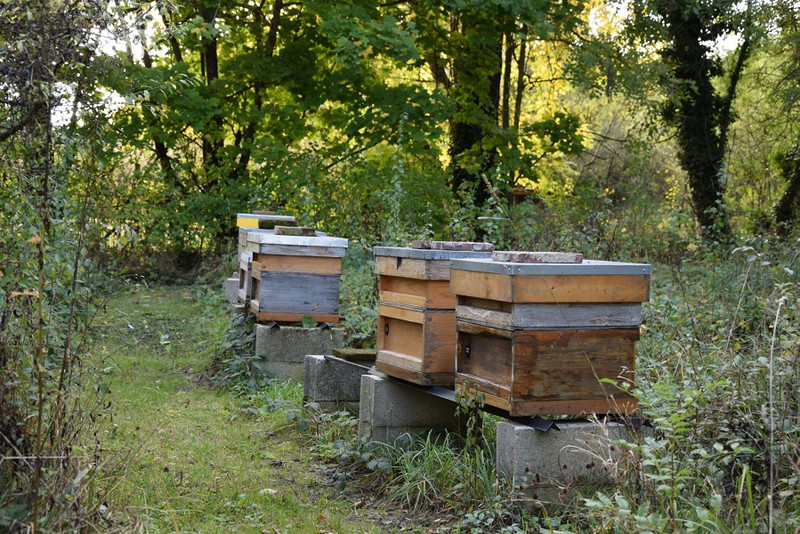 Le Miel de Sully à Sully Image 1