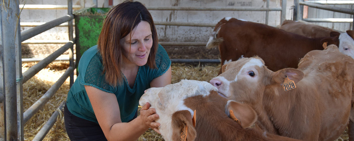 La Ferme des Montigots à La Celle-en-Morvan Image 1