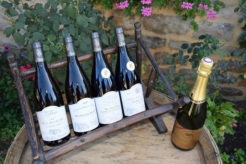 Domaine Château Miraudet à Dracy-Lès-Couches Image 2