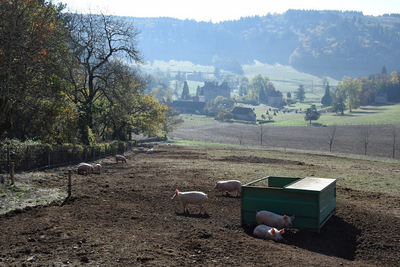 EARL de Visigneux à Lucenay-L’Evêque Image 5