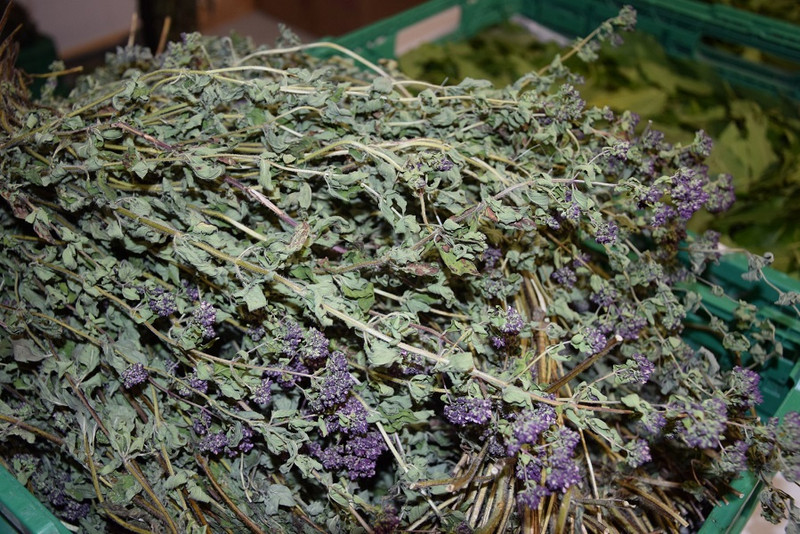 FLOR’ALINE à Curgy Image 1