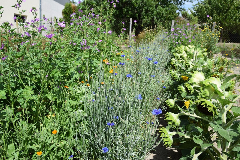 FLOR’ALINE à Curgy Image 5