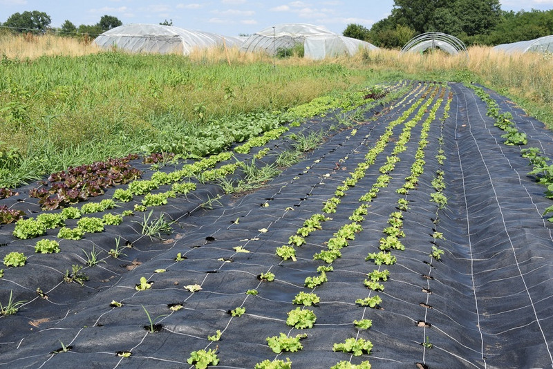 Les Champs du Loup à Dracy-Saint-Loup Image 2