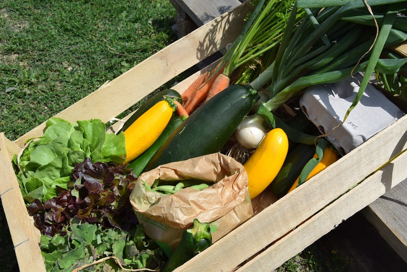 Les Champs du Loup à Dracy-Saint-Loup Image 4