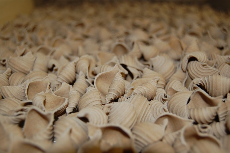 Le Moulin de Corfeuil à La Tagnière Image 3