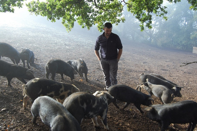 La Ferme de Dront à Anost Image 4