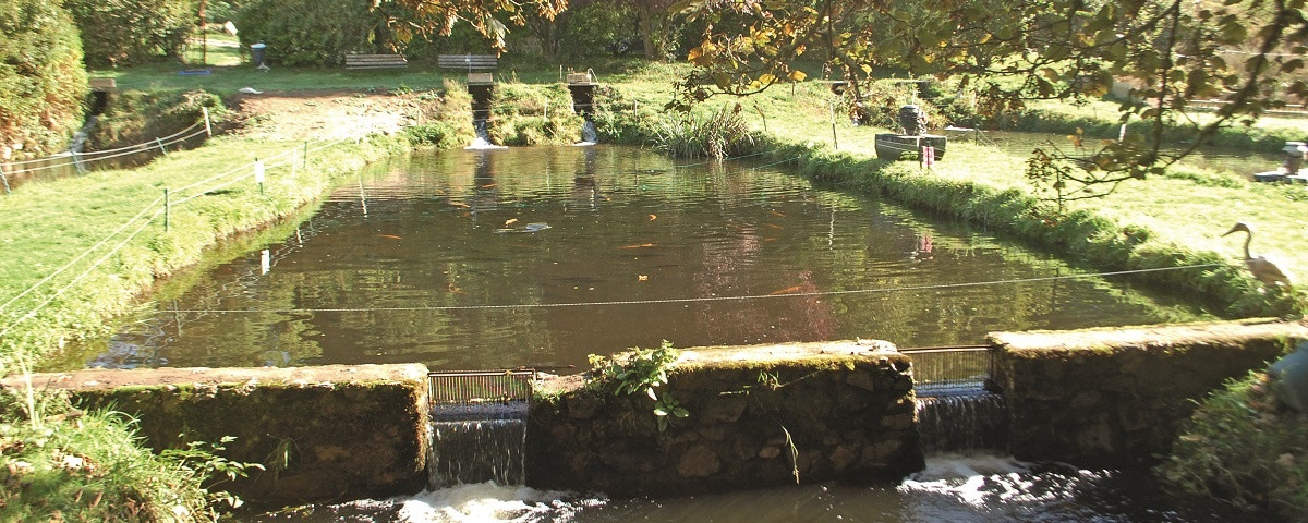 Le Moulin à La Petite-Verrière Image 1