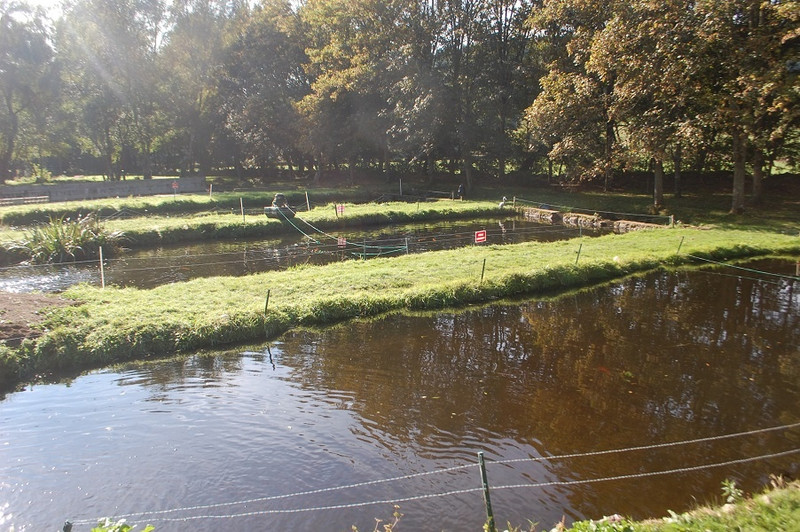 Le Moulin à La Petite-Verrière Image 2