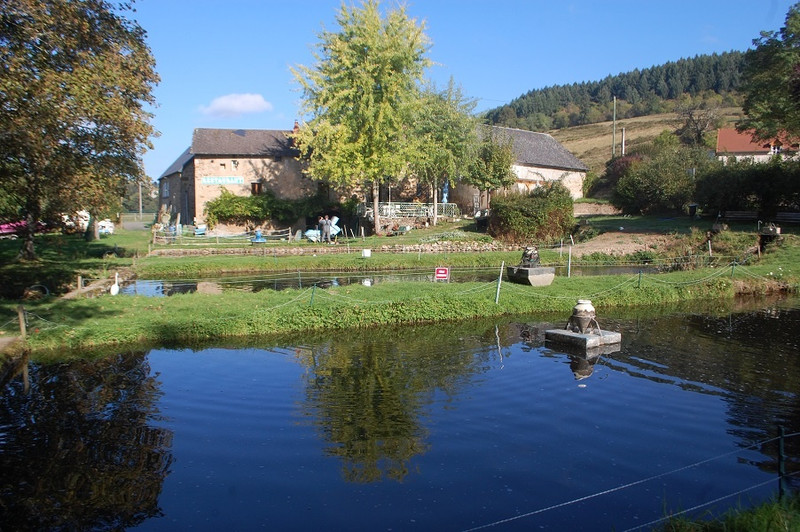Le Moulin à La Petite-Verrière Image 4