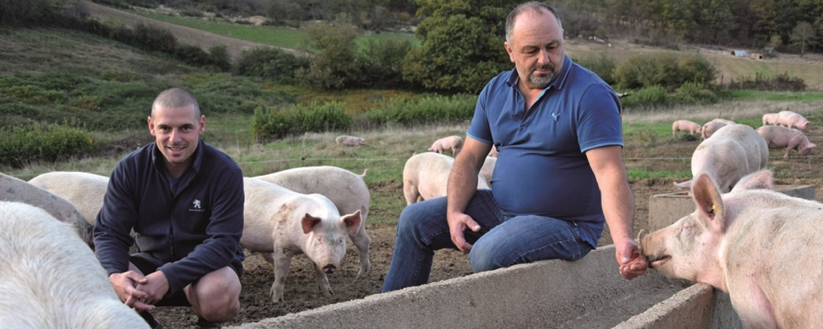 Le Gaec Vailleau-Gauthier à Charmoy Image 1