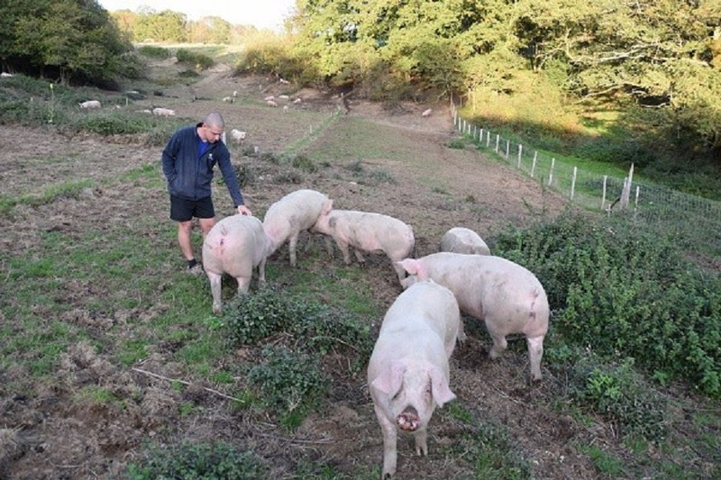 Le Gaec Vailleau-Gauthier à Charmoy Image 2