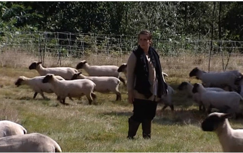 L’agneau de A à Z à La Grande-Verrière Image 5