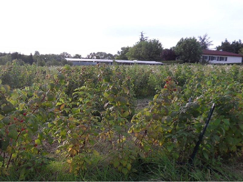 Le Jardinier Glacier (SORBIOP) à Saint-Etienne-en-Bresse Image 2