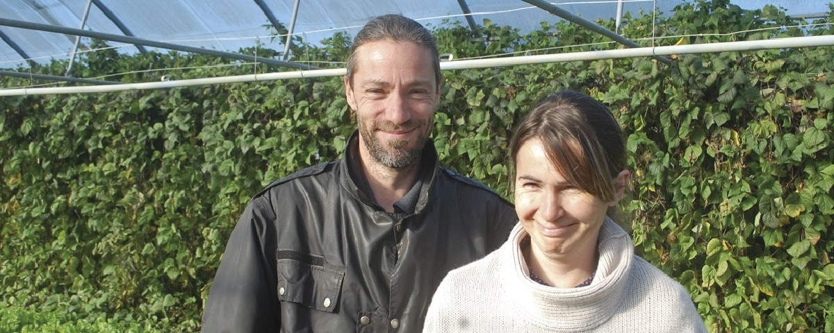 Le Potager du maraîcher à Branges Image 1