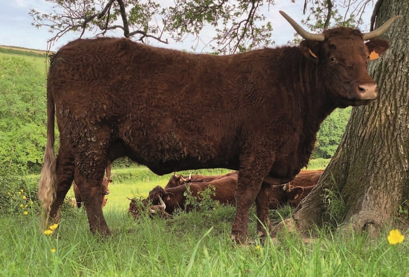 Marion Alexandre à Saint-Pierre-de-Varennes Image 3