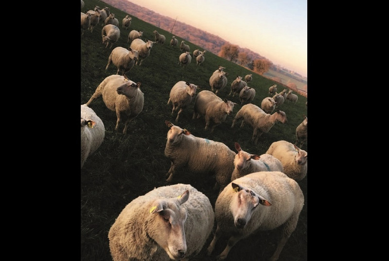 Marion Alexandre à Saint-Pierre-de-Varennes Image 1