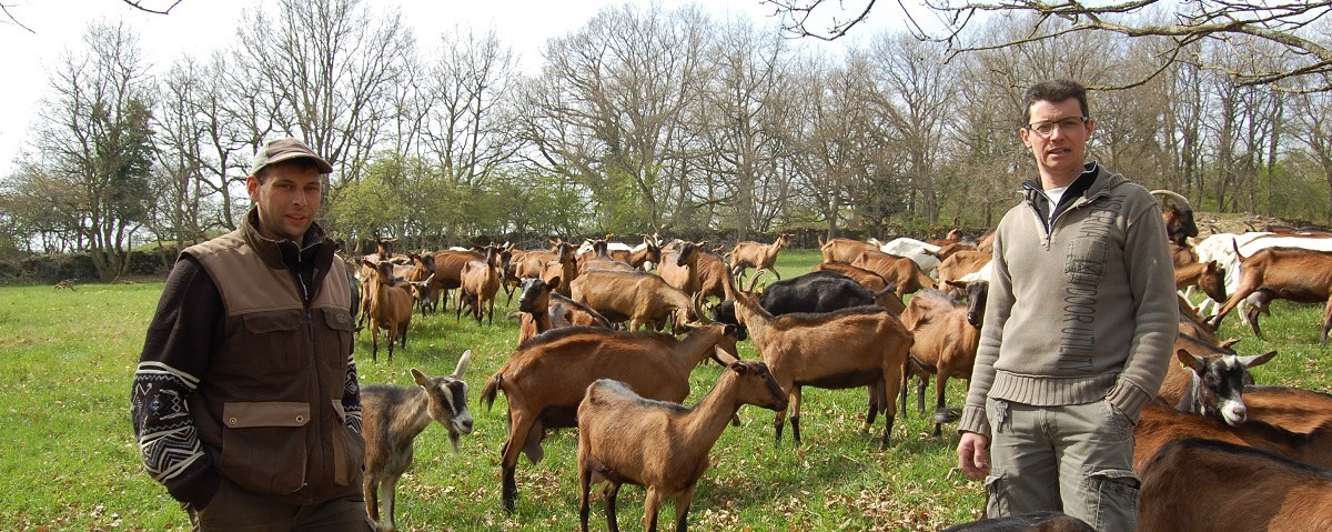 Gaec de La Chèvre de Russilly à Givry Image 1