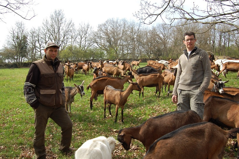 Gaec de La Chèvre de Russilly à Givry Image 3