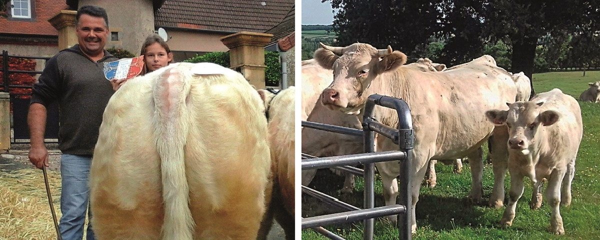 Gaec du Grand Monetois à Écuisses Image 1