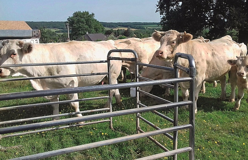 Gaec du Grand Monetois à Écuisses Image 1