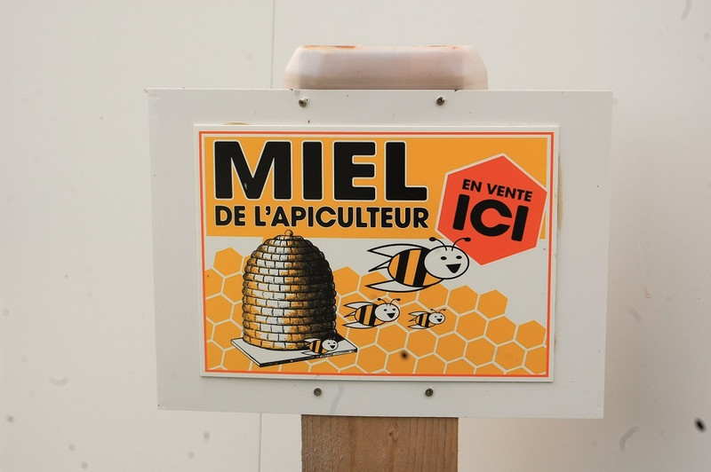 La Miellerie de la Natouze à Boyer Image 2