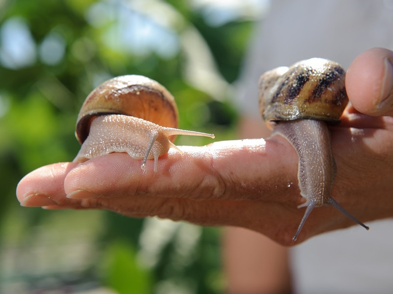 Corine Rubod à Briant Image 5