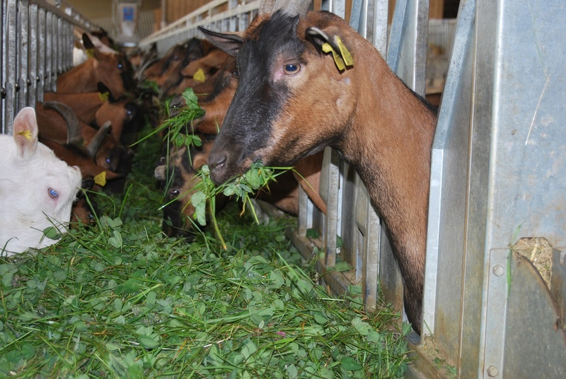 La Ferme du Montot à Oudry Image 2