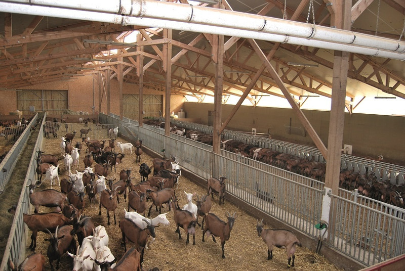 La Ferme du Montot à Oudry Image 3