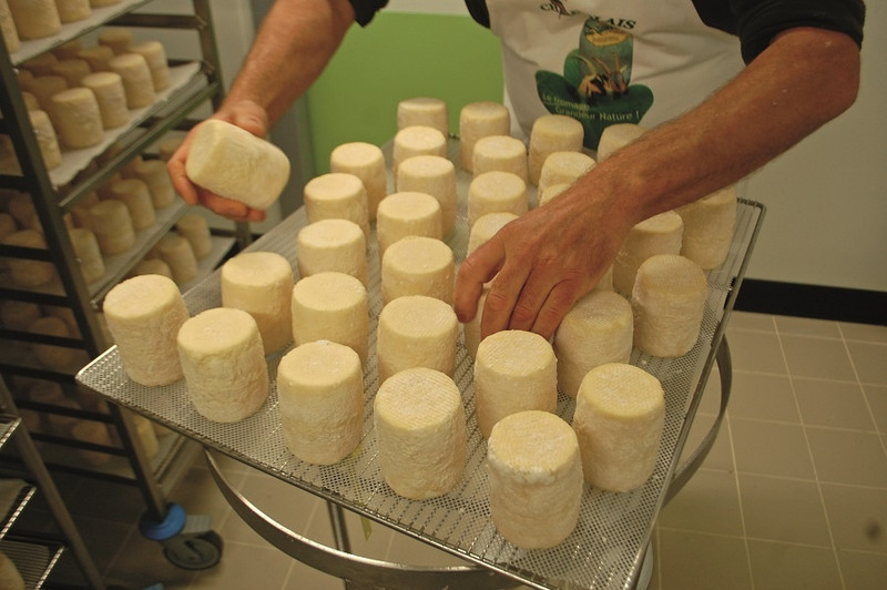 La Ferme du Montot à Oudry Image 4