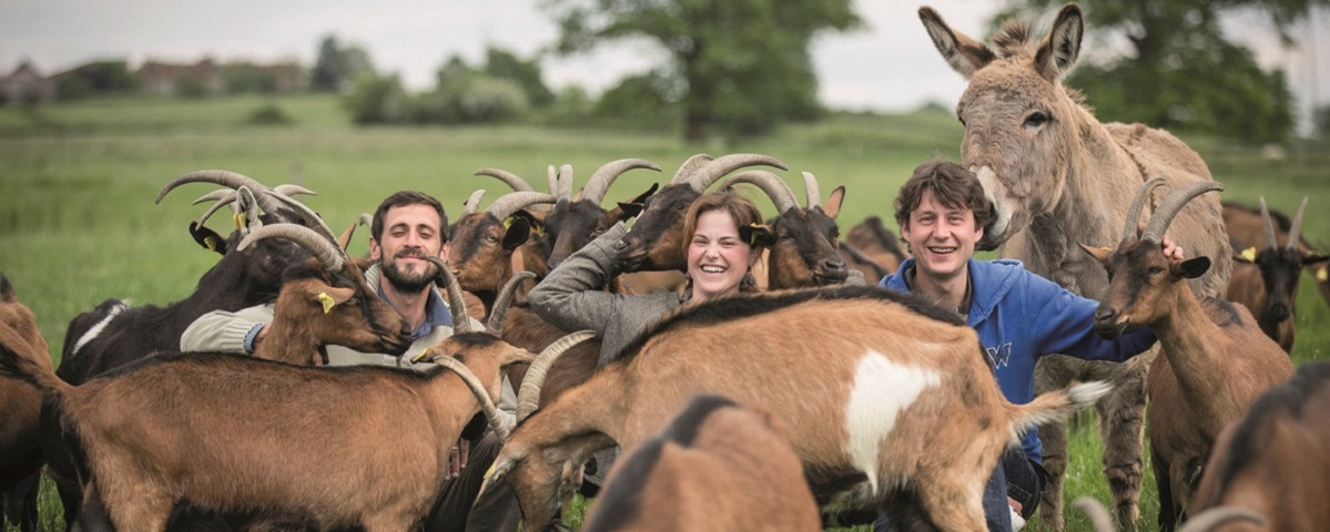 La Ferme des Bien Vivants à Champlecy Image 1