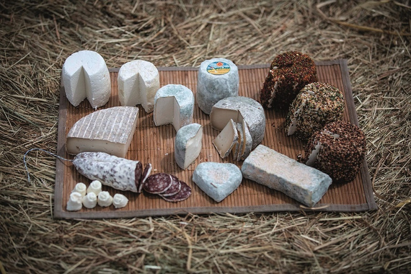 La Ferme des Bien Vivants à Champlecy Image 4