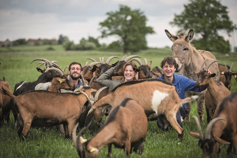 La Ferme des Bien Vivants à Champlecy Image 1