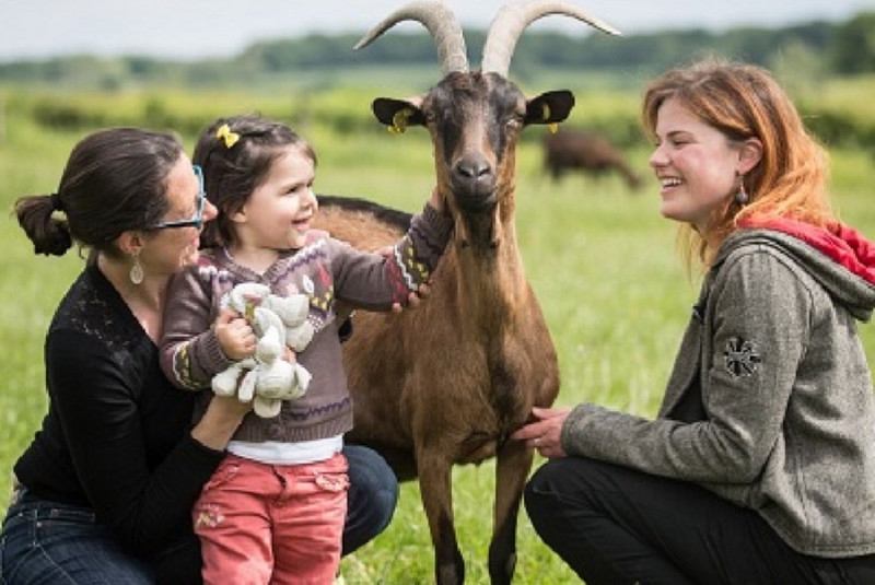 La Ferme des Bien Vivants à Champlecy Image 5