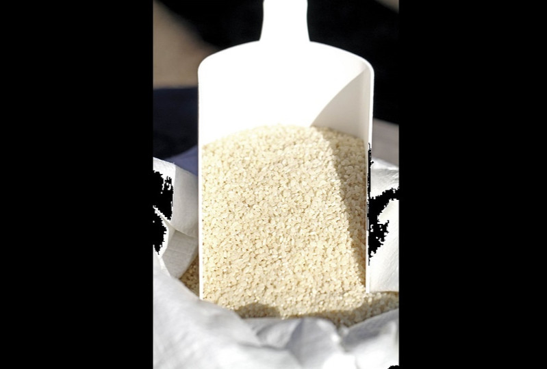 Kura de Bourgogne à Poisson Image 5