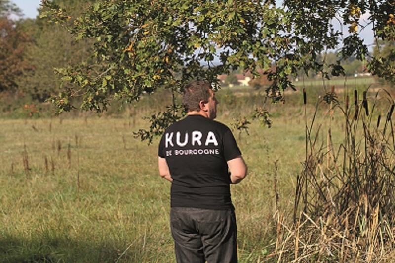 Kura de Bourgogne à Poisson Image 1